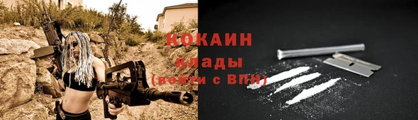 стаф Краснослободск