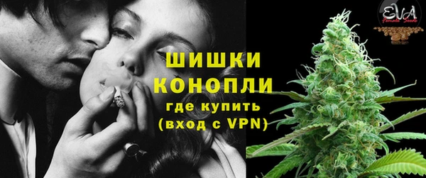 твердый Абаза