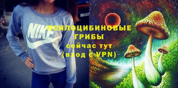 тгк Гусев